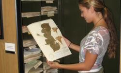 $500 Student Research Grant Awards