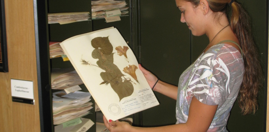 $500 Student Research Grant Awards