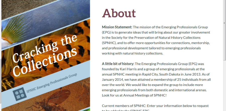 Emerging Professionals Group